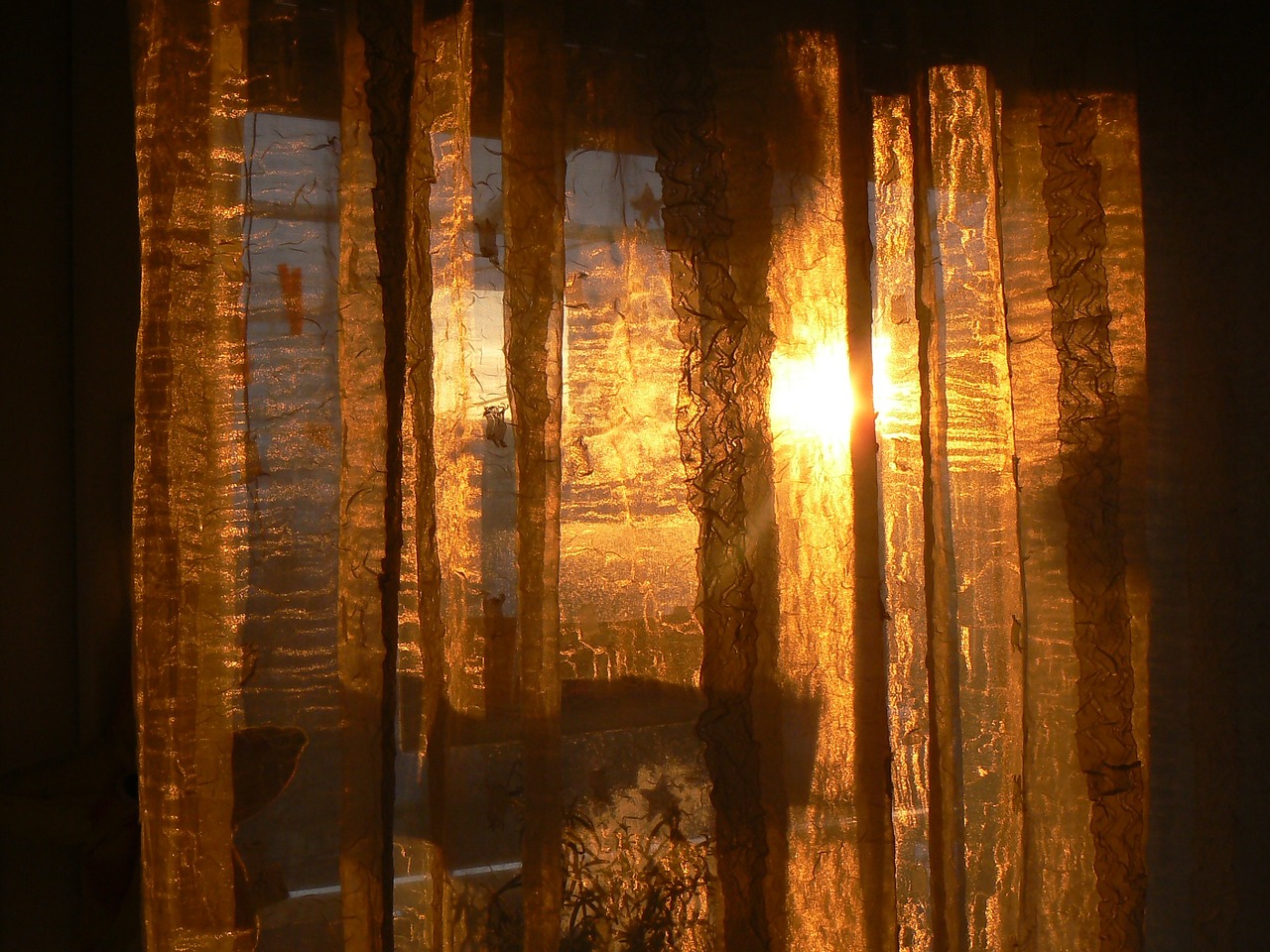 Sheer Curtains